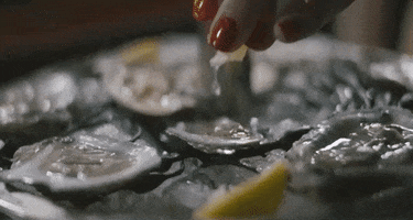 jeremiah tower oyster GIF by The Orchard Films