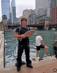 Seamus Oconnor GIF