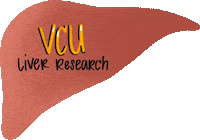 Vcu Rams Sticker by Virginia Commonwealth University