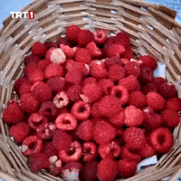 Fruit Mis GIF by TRT