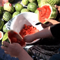 Summer Fruit GIF by TRT