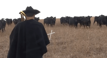 Darth Farmer Summons His Herd