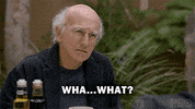 Excuse Me What GIF by Curb Your Enthusiasm