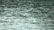 animation GIF by Ryan Seslow