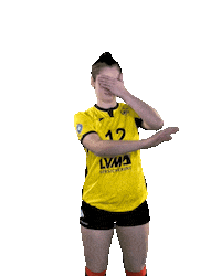 USC_Muenster ball volleyball search vbl Sticker