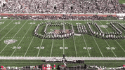 marching 110 ohio bobcats GIF by Ohio Football