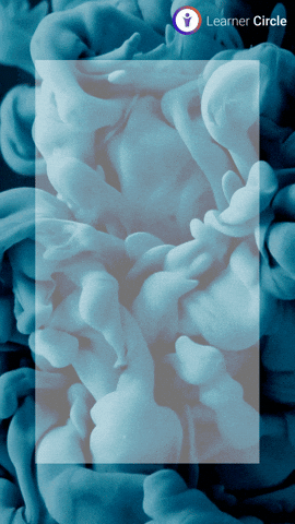 GIF by Learner Circle