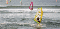 hawaii GIF