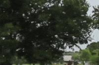 Run The World GIF by Dayglow