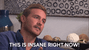 Episode 11 Abc GIF by The Bachelor