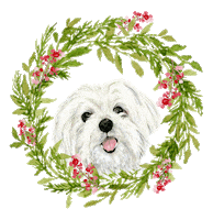 Merry Xmas Christmas Sticker