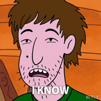 Bojack Horseman GIF by NETFLIX