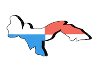 pepsicocaricam pepsico pepsico caricam pepsicocaricam pepsico proud Sticker
