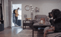 Sport Mma GIF by UFC