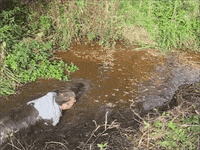 gunge GIF by Digg