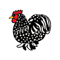 Chickens Sticker
