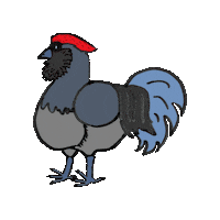 Chickens Sticker