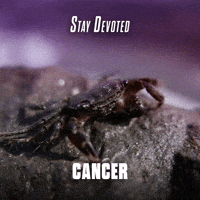 Stay Devoted Cancer