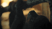 tired sloth GIF by MASTERPIECE | PBS