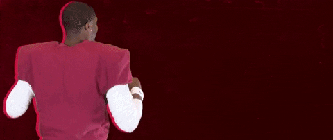 Football Roll Pards GIF by Lafayette Leopards