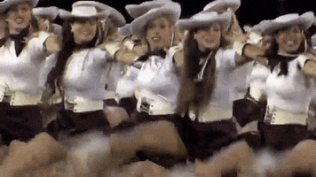 san marcos bobcats GIF by Texas State Football