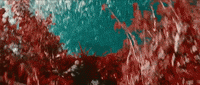 GIF by Digg