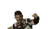 Happy Driver Sticker by INDYCAR