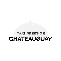 Logo Car Sticker by Taxelco