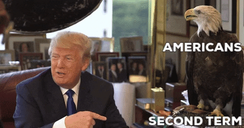 ostrisai giphygifmaker donald trump election 2020 one term president GIF