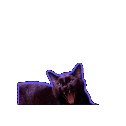 Dont Touch Me Go Away Sticker by Rod Kim