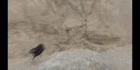 Earth Science Education GIF by DIIMSA Stock