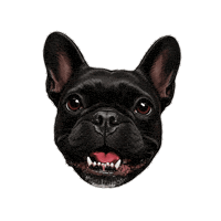 Dogisbrasil Sticker by Dogis