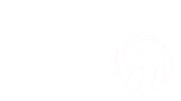 southcoastblaze blaze netball fastball southcoastblaze Sticker