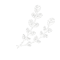 heyitsgarazi white nature green fresh Sticker