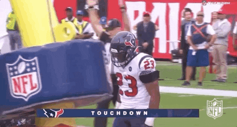 2019 Nfl Football GIF by NFL