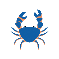 islandmedia sea diving crab snorkling Sticker