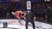 GIF by Bellator