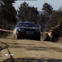 Rushing In A Hurry GIF by FIA World Rally Championship