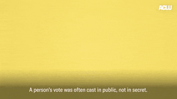 Usa Voting GIF by ACLU