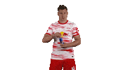 Football Sport Sticker by RB Leipzig
