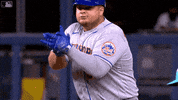 Celebrate Major League Baseball GIF by New York Mets