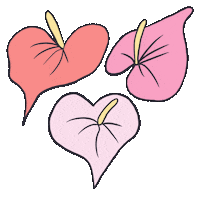 momoharamedia hawaii anthurium momohara media hawaii flower Sticker
