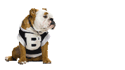 Happy Butler Bulldogs Sticker by Butler University