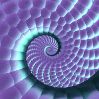 Snake Spiral GIF by Feliks Tomasz Konczakowski