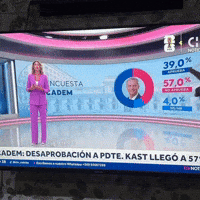 Chile Gobierno GIF