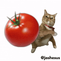 Boo Tomato GIF