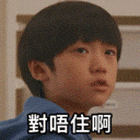 Tiger Mirror GIF by ViuTV