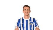 Home Swipe Up Sticker by Hertha BSC