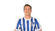 Home Swipe Up Sticker by Hertha BSC