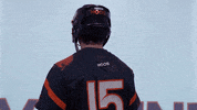 Uvamenslax GIF by Virginia Athletics